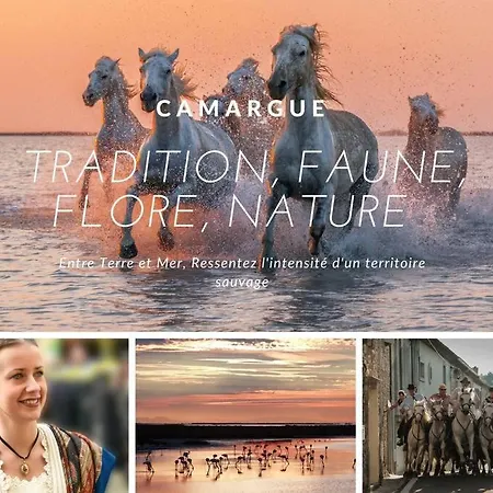 Les Flots Turquoise * Climatisation * *