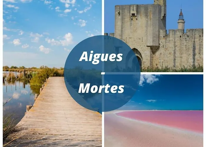 Apartamento Les Flots Turquoise * Climatisation * *