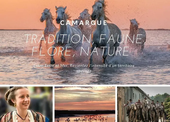 Les Flots Turquoise * Climatisation * *